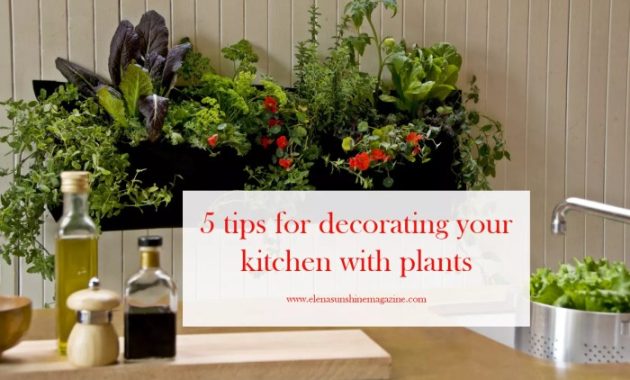 Modern Kitchen Plants Decor