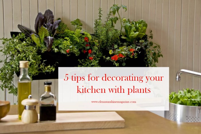 Modern kitchen plants decor