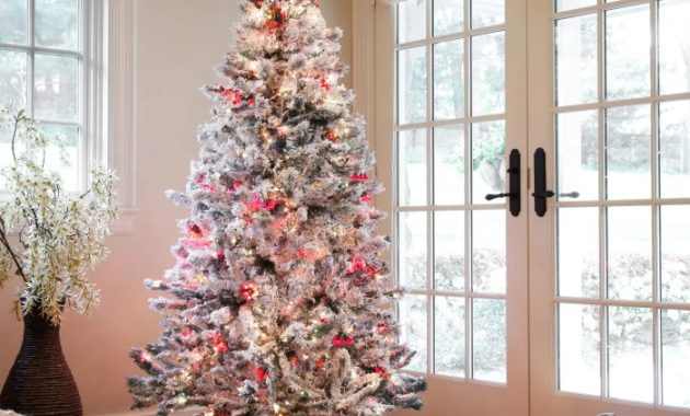 Christmas Tree and Decor A Festive Guide