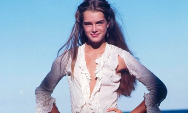 Brooke Shields Daughters Wedding Dress A Detailed Look